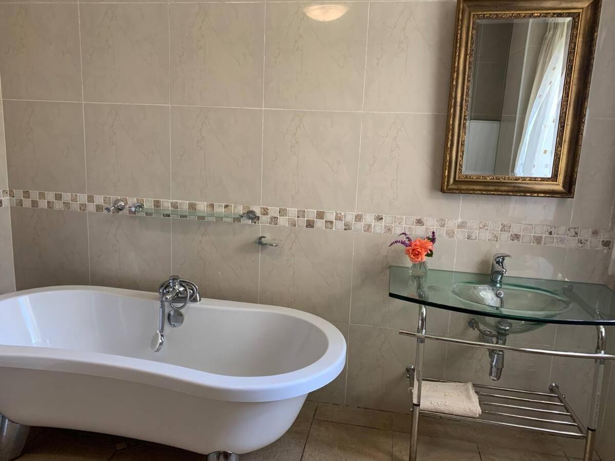 Mountain Rose Guesthouse Луис Трикард Екстериор снимка