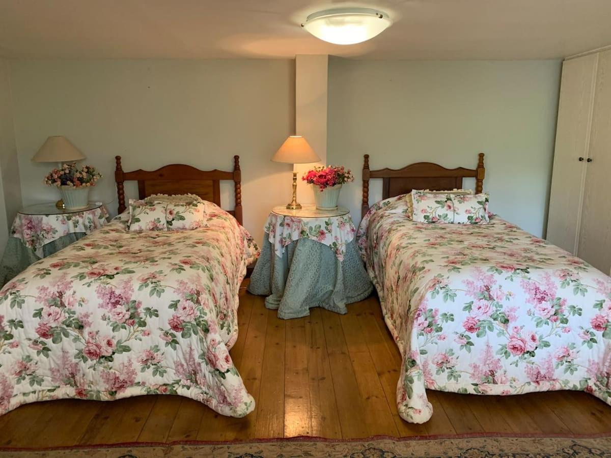 Mountain Rose Guesthouse Луис Трикард Екстериор снимка