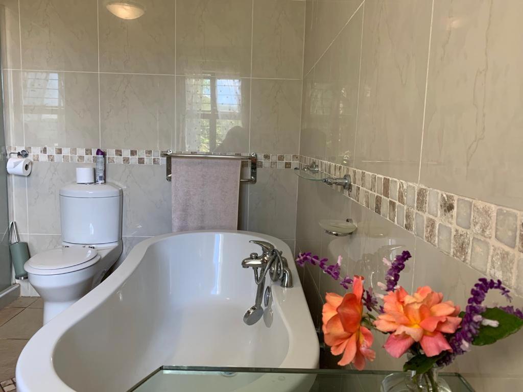 Mountain Rose Guesthouse Луис Трикард Екстериор снимка